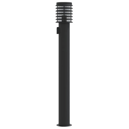 Buitenvloerlamp 110 Cm Roestvrijstaal Zwart